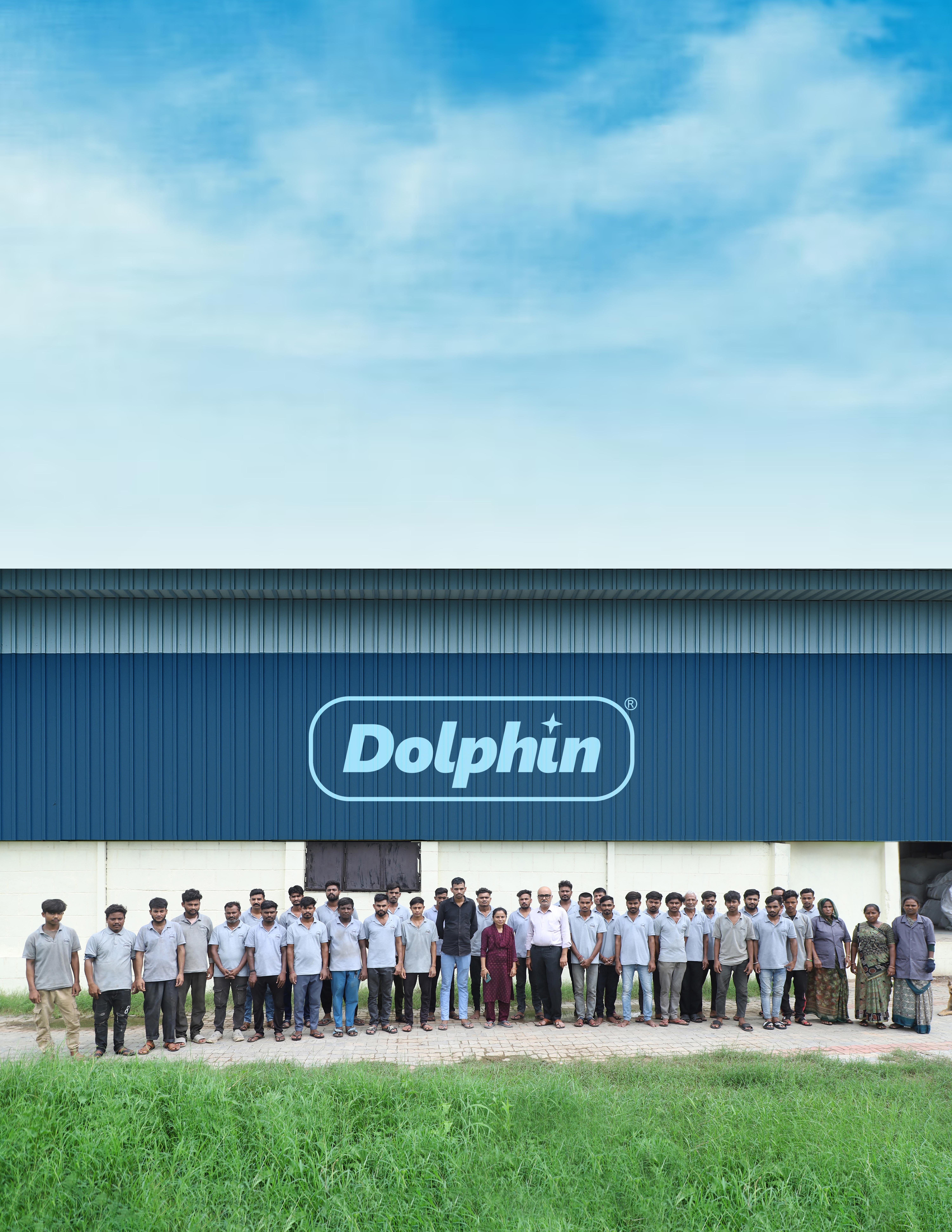 Dolphin